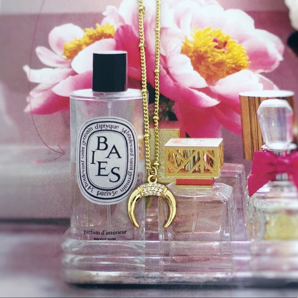 Dainty Gold Crescent Horn Necklace - Picture 5 of 8